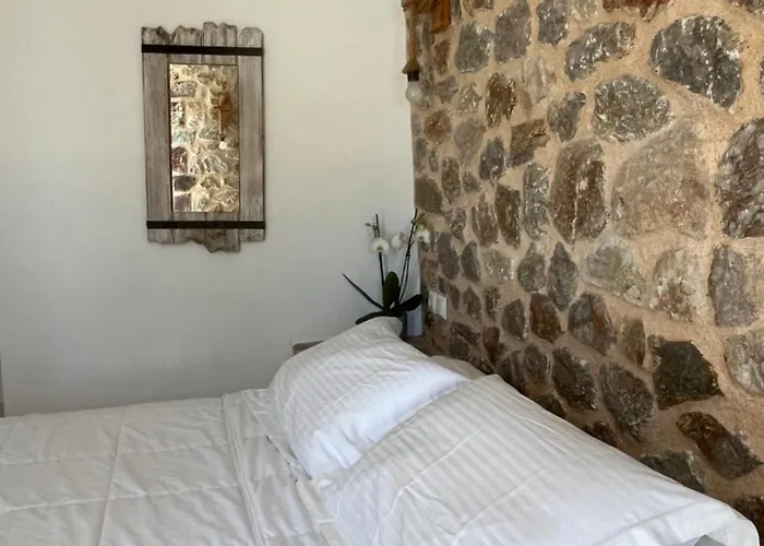 公寓 萨卡斯公寓 *